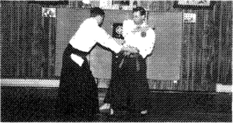 Hakkoryu photo 113
