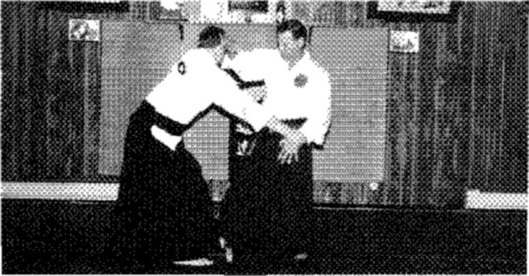 Hakkoryu photo 114