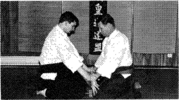 Hakkoryu photo 115