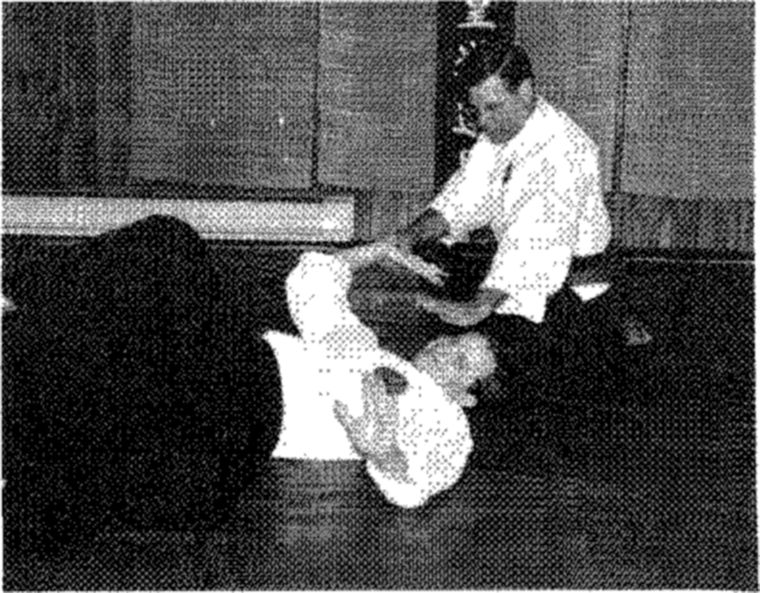 Hakkoryu photo 120
