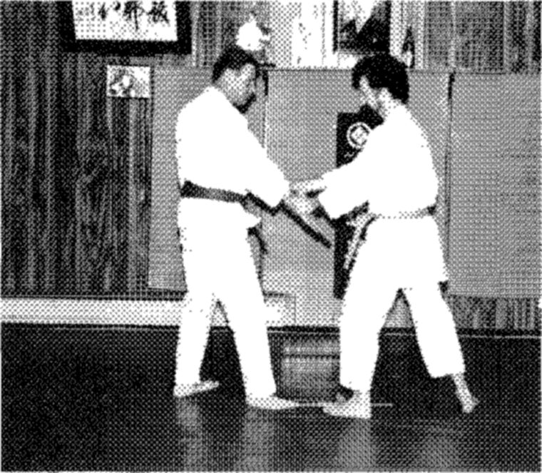 Hakkoryu photo 125