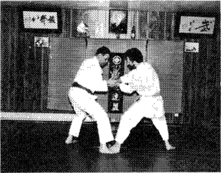 Hakkoryu photo 127