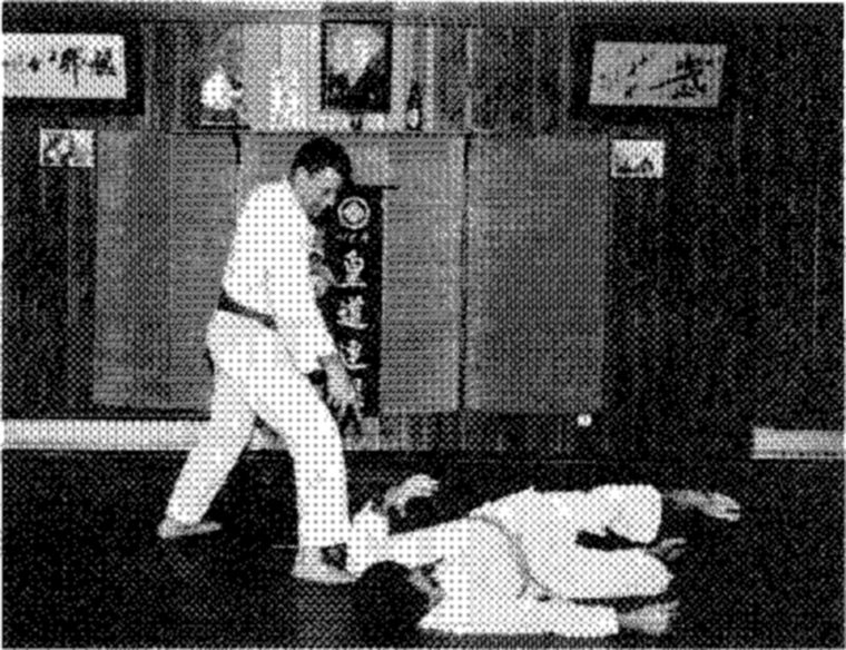 Hakkoryu photo 129