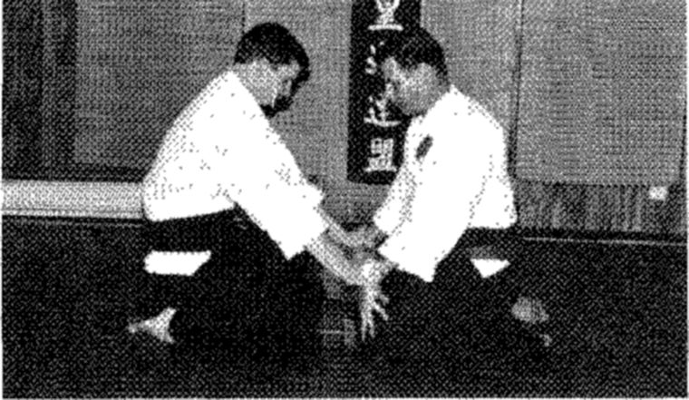 Hakkoryu photo 131
