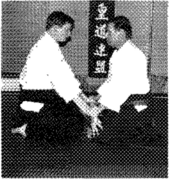 Hakkoryu photo 134