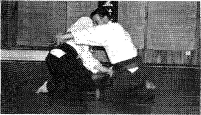 Hakkoryu photo 136