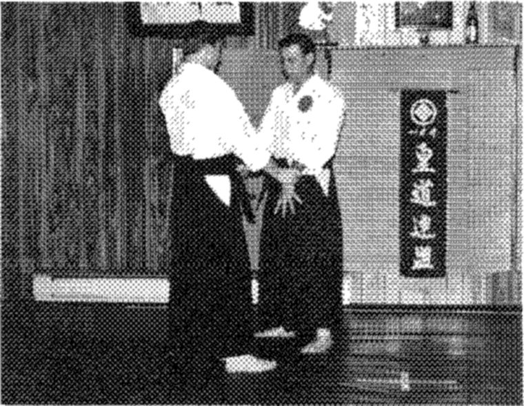 Hakkoryu photo 137