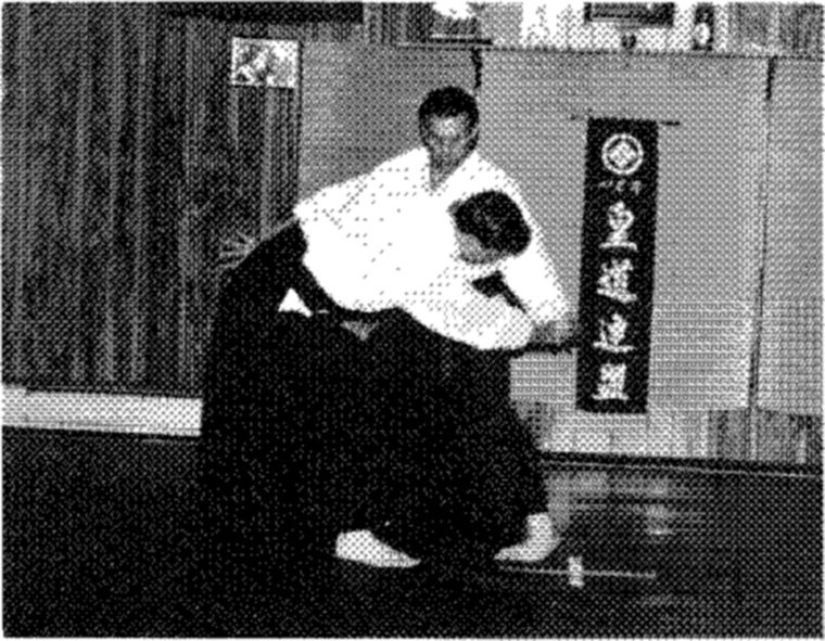 Hakkoryu photo 138