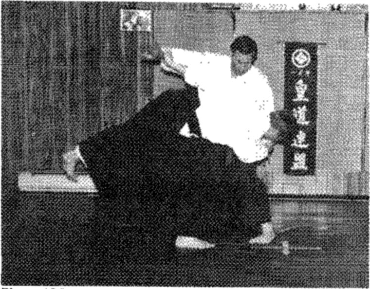 Hakkoryu photo 139