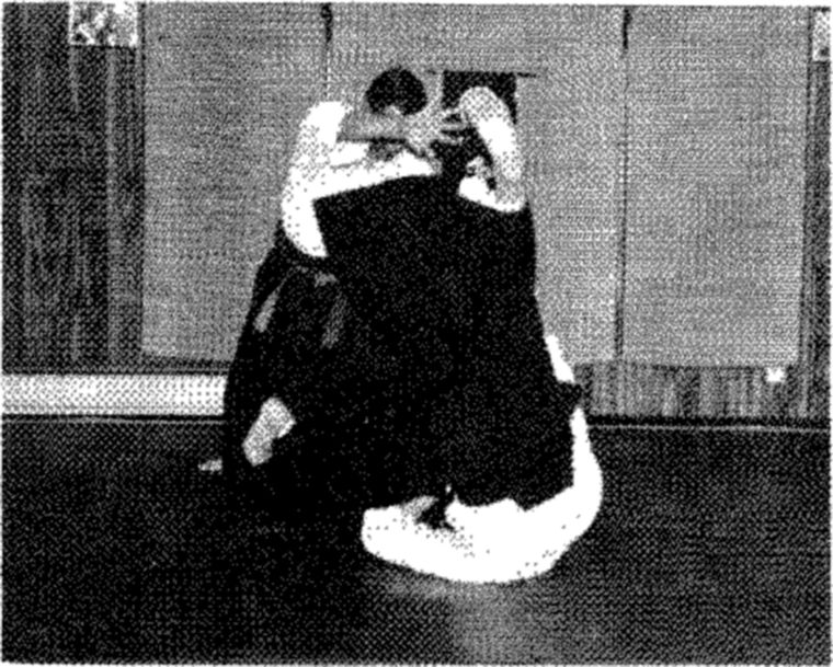 Hakkoryu photo 140
