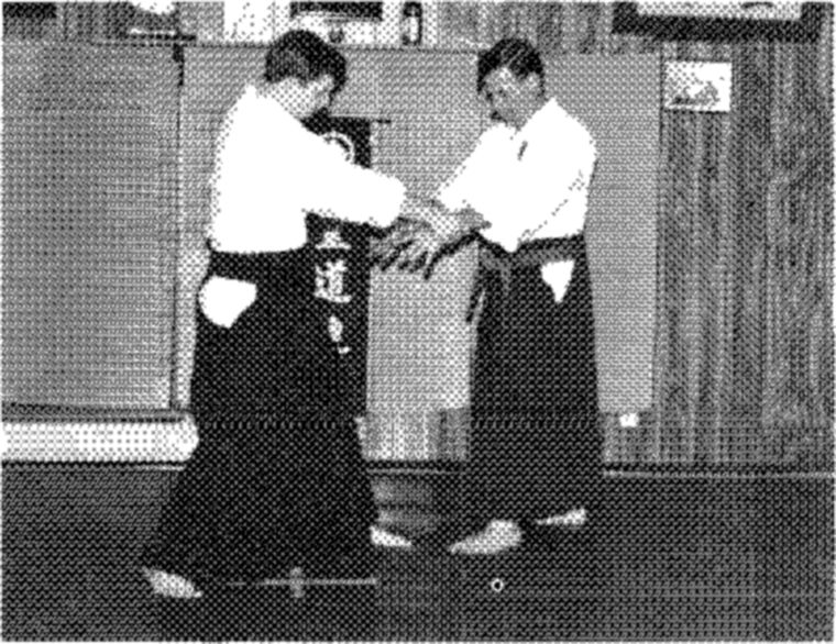 Hakkoryu photo 141