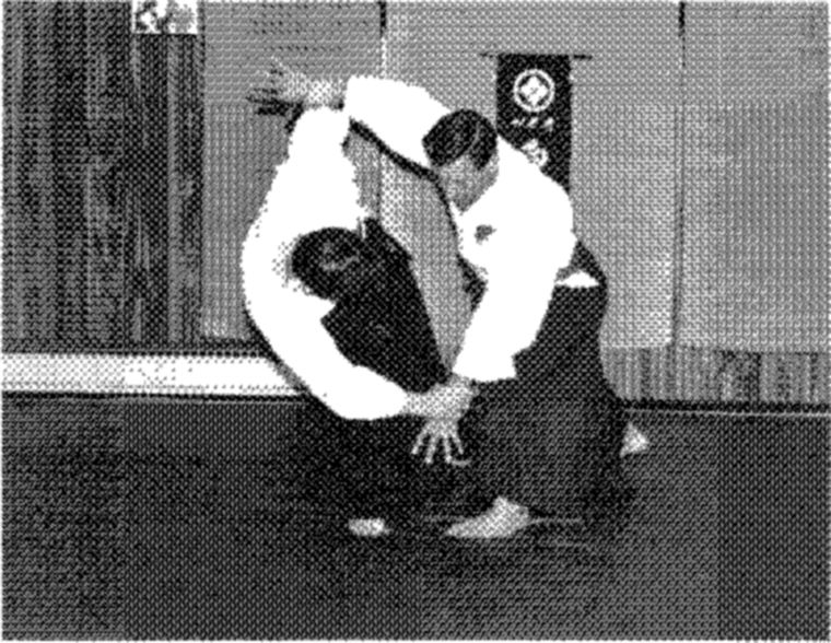 Hakkoryu photo 143