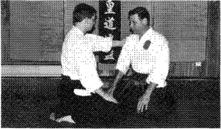 Hakkoryu photo 145
