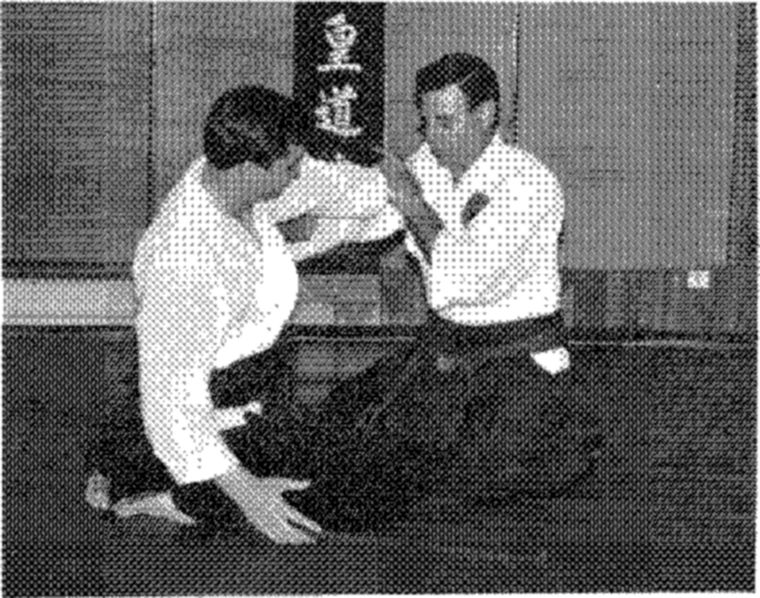 Hakkoryu photo 148