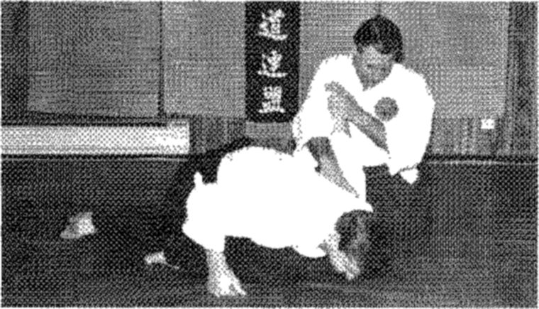 Hakkoryu photo 149