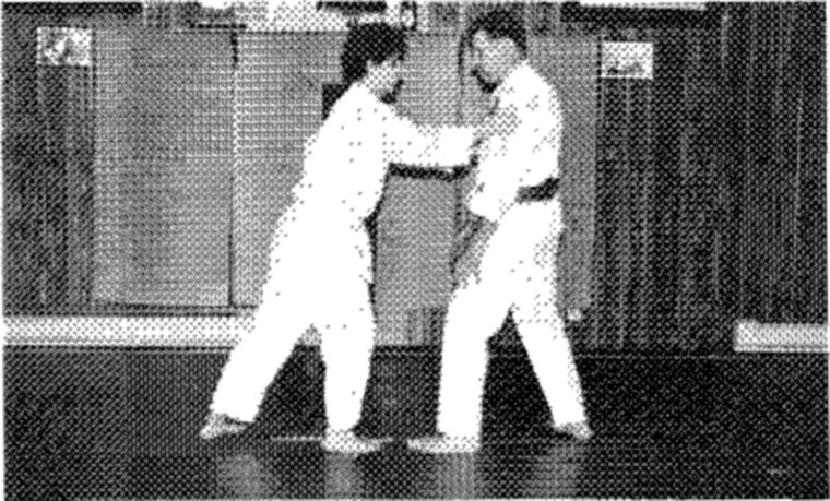 Hakkoryu photo 151
