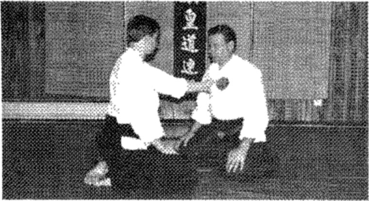 Hakkoryu photo 156