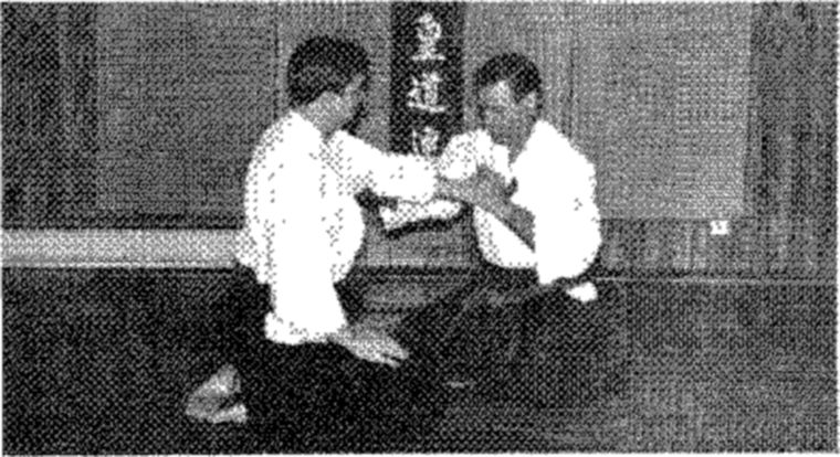 Hakkoryu photo 158