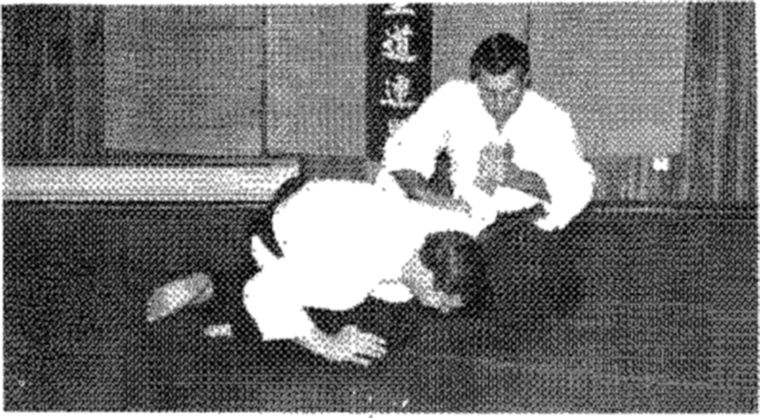 Hakkoryu photo 159