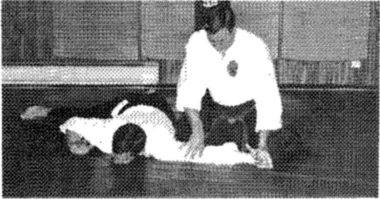 Hakkoryu photo 160