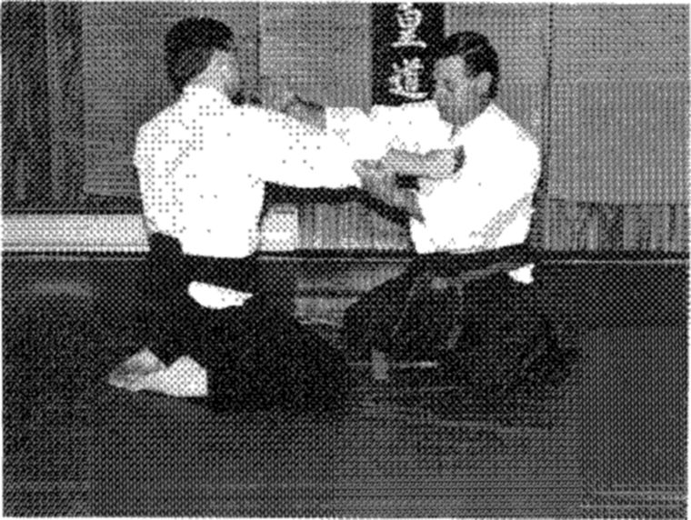 Hakkoryu photo 161