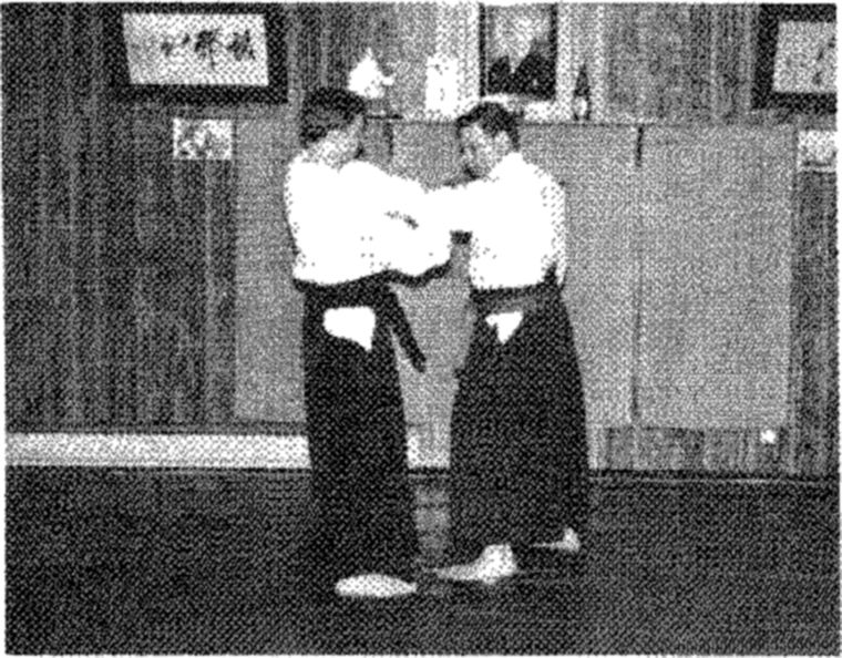 Hakkoryu photo 164