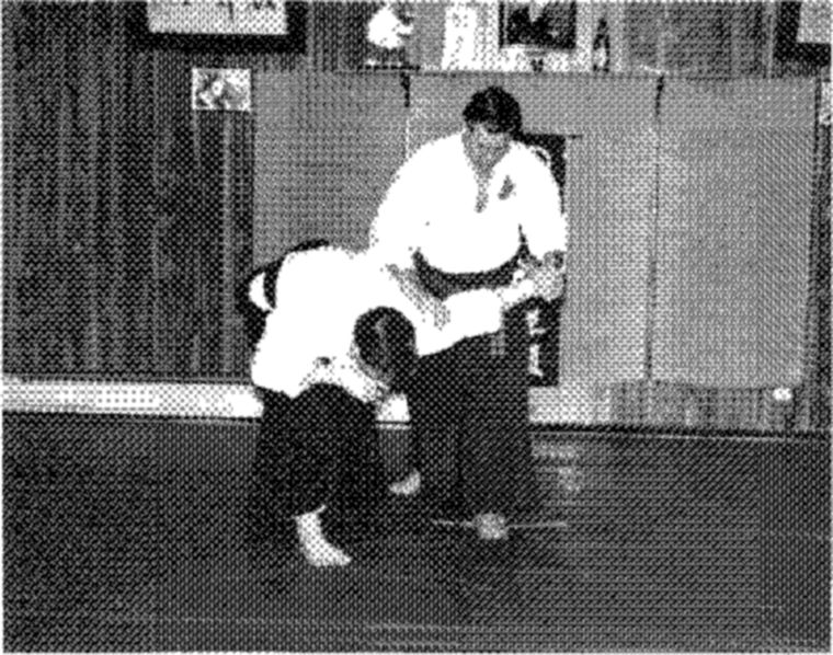 Hakkoryu photo 166