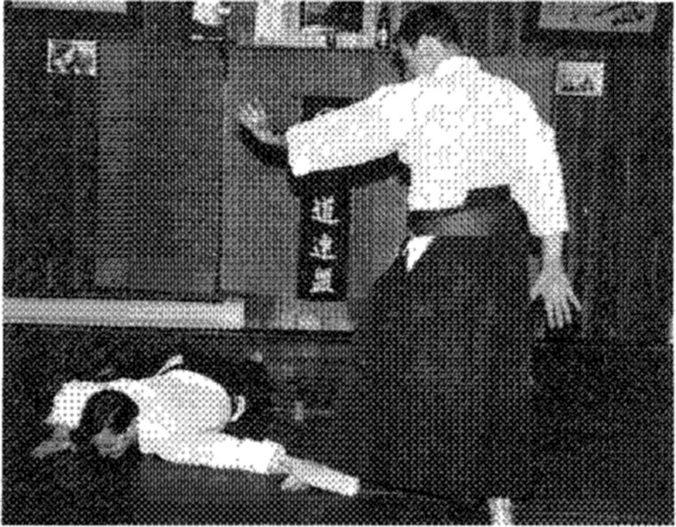 Hakkoryu photo 167