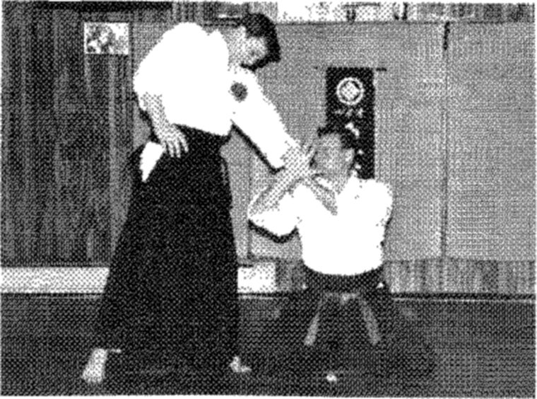 Hakkoryu photo 171