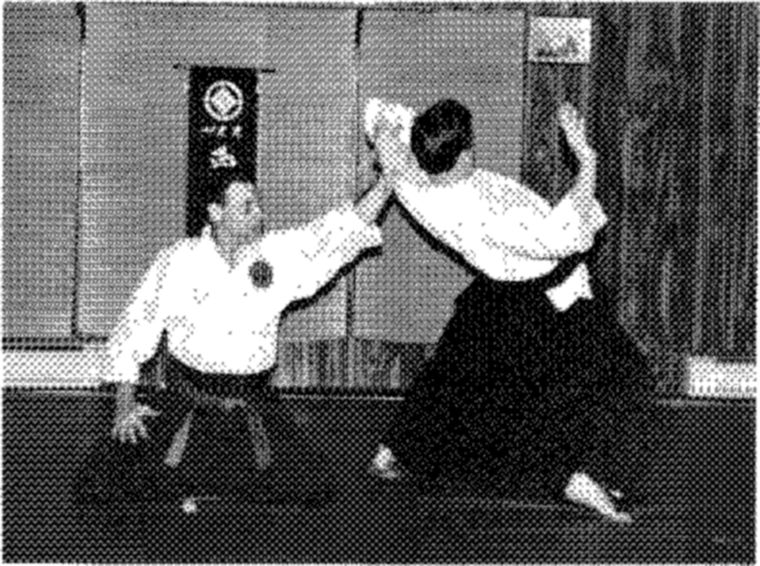 Hakkoryu photo 173