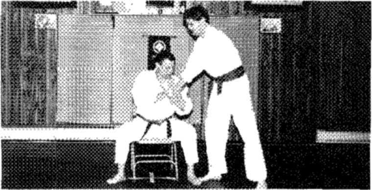 Hakkoryu photo 176