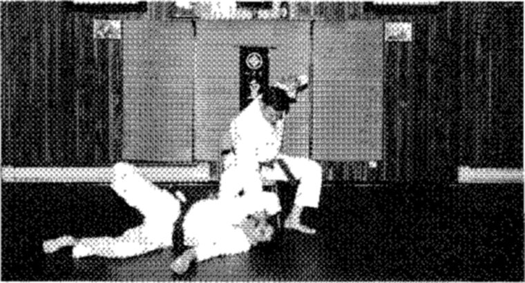 Hakkoryu photo 179