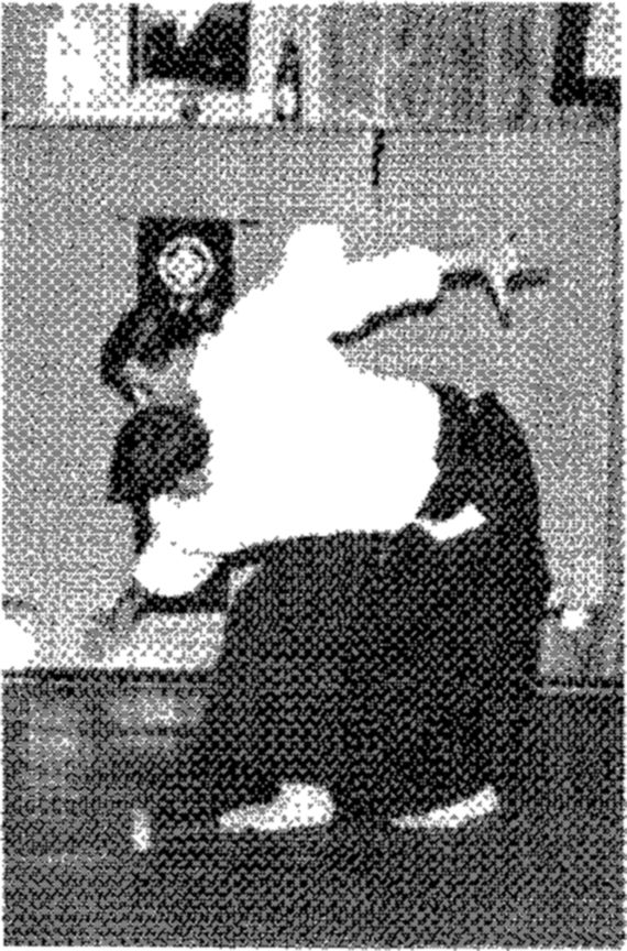 Hakkoryu photo 183