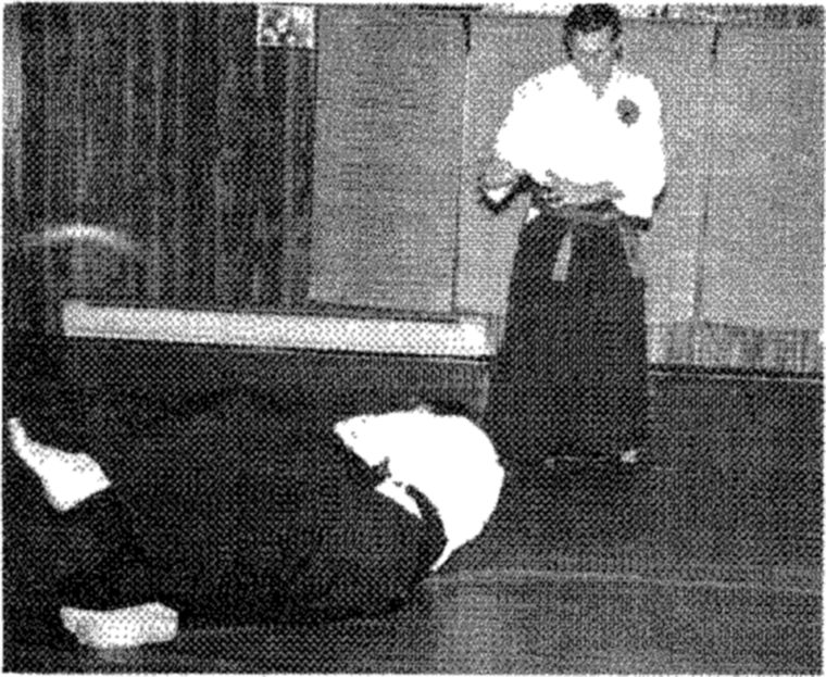 Hakkoryu photo 184