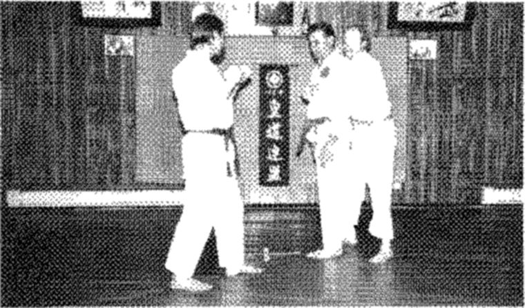 Hakkoryu photo 185