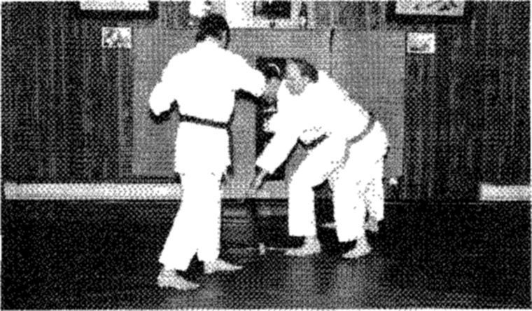 Hakkoryu photo 186