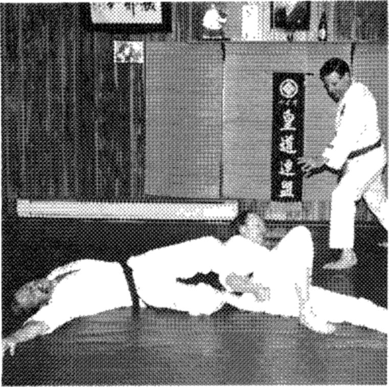 Hakkoryu photo 187