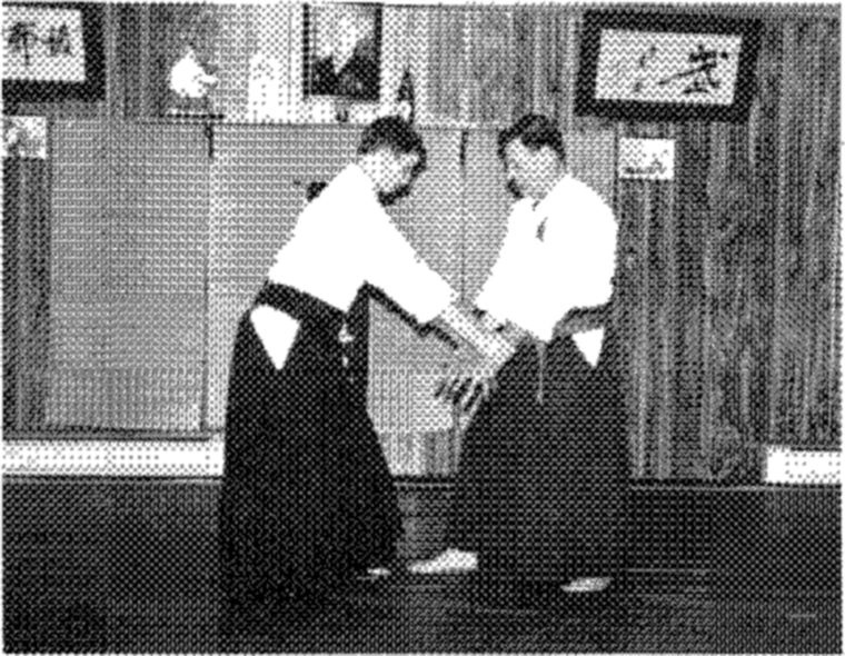 Hakkoryu photo 189