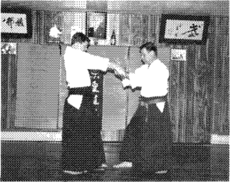 Hakkoryu photo 190