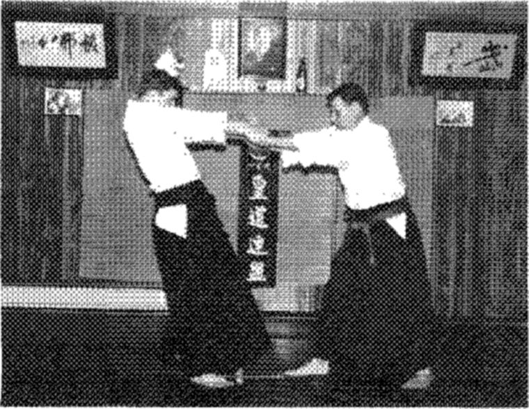 Hakkoryu photo 191
