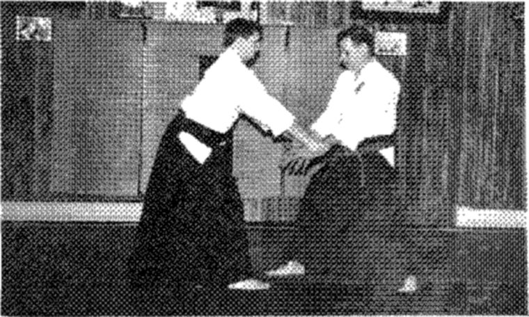 Hakkoryu photo 193