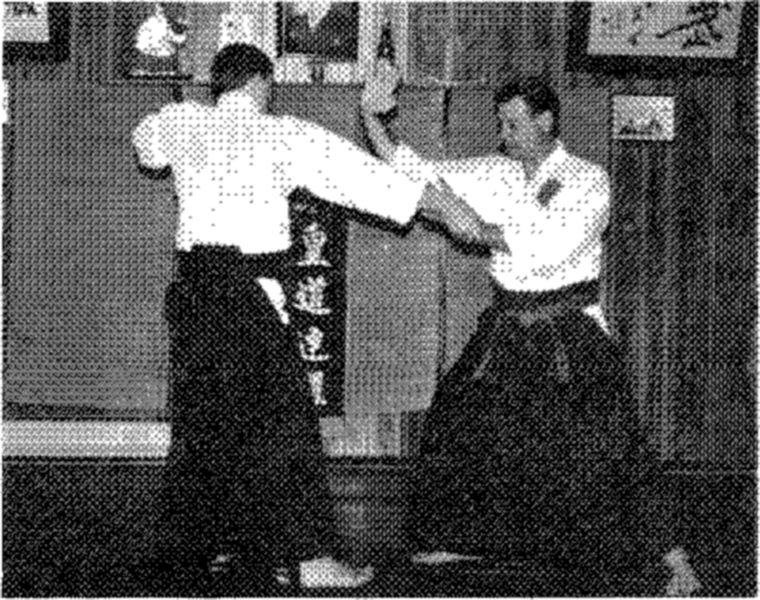 Hakkoryu photo 195