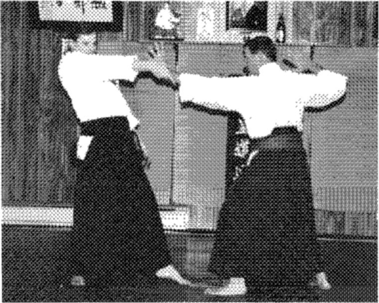 Hakkoryu photo 196