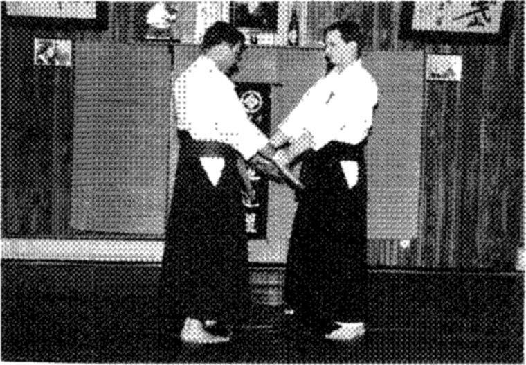 Hakkoryu photo 198