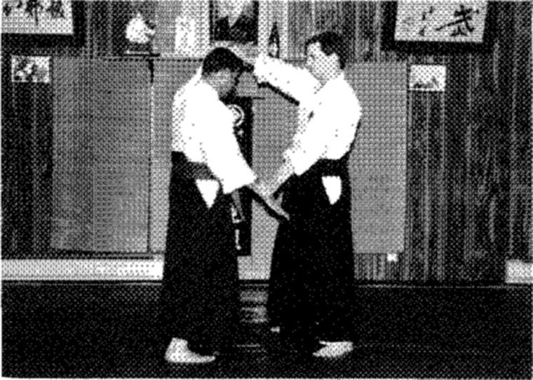 Hakkoryu photo 199