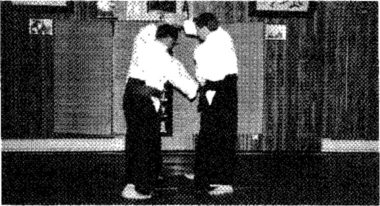 Hakkoryu photo 200