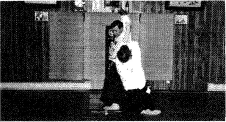 Hakkoryu photo 202