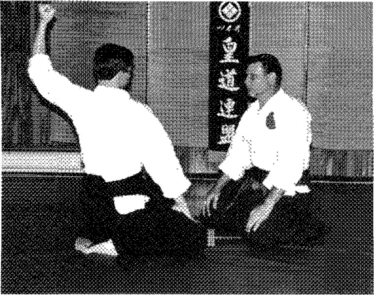 Hakkoryu photo 203