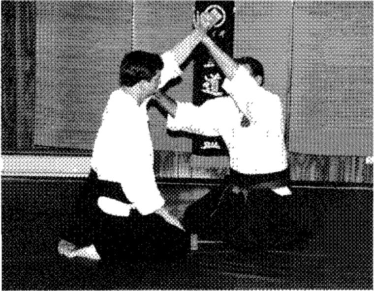 Hakkoryu photo 204