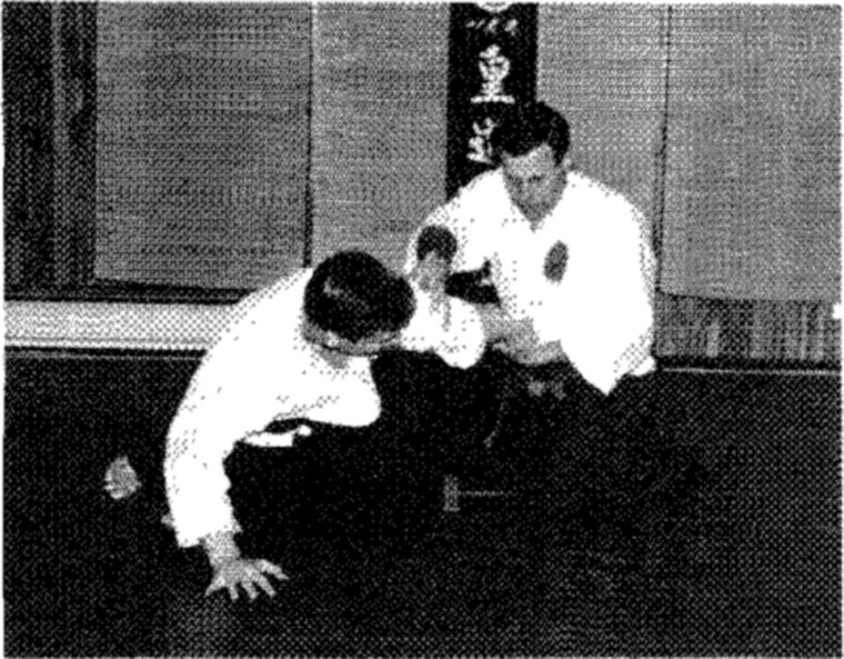 Hakkoryu photo 205